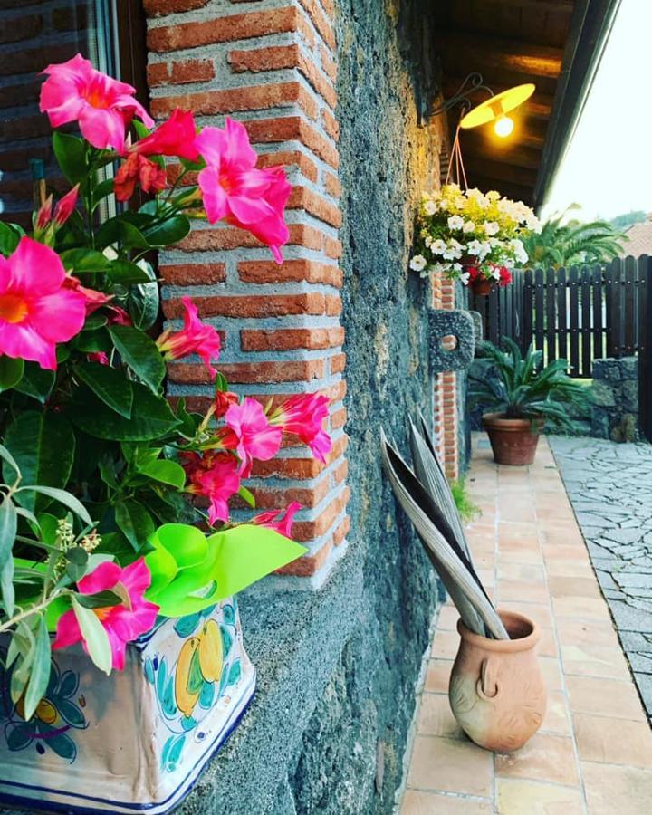 Appartamento Il Tiglio Viagrande Esterno foto