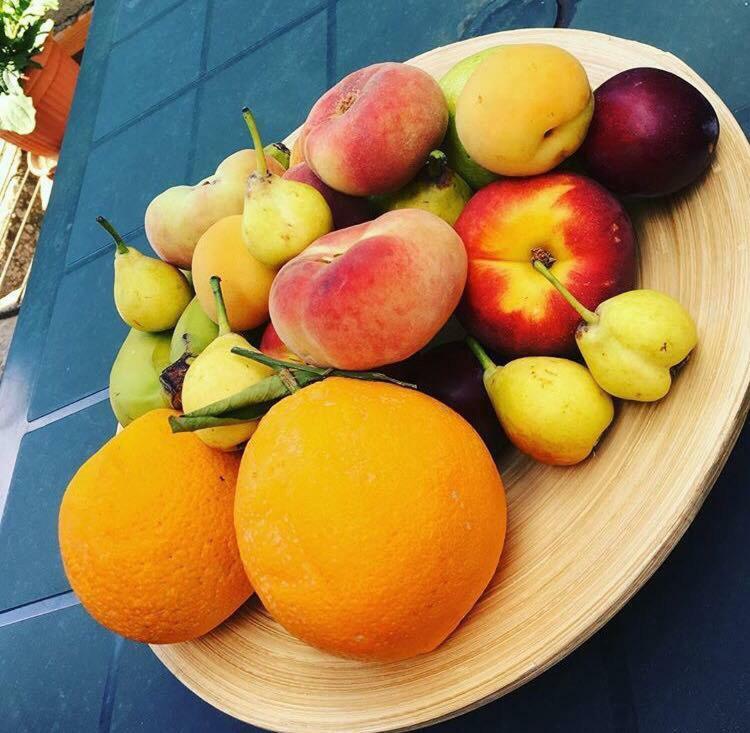 Appartamento Il Tiglio Viagrande Esterno foto