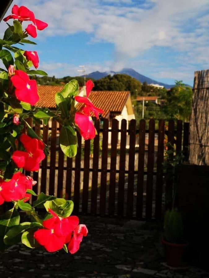 Appartamento Il Tiglio Viagrande Esterno foto